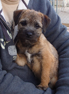 Daddy's Girl....
(Indy)