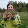 dsc02242.jpg