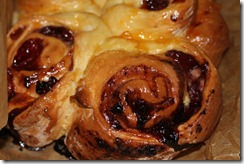 IMG_7442 IMG_7442