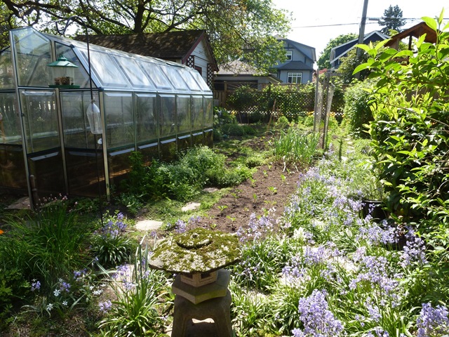 [SpringVeggieGarden%255B3%255D.jpg]