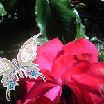 2011-06-05_14-50-24_642.jpg