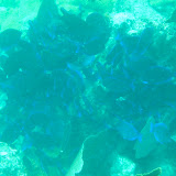 IMG_0713.JPG