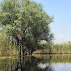 IMG_7643.JPG