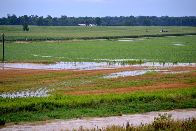 [july%2520flood%2520road%255B4%255D.jpg]