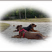 P1060459_0007_edited-1pse.jpg