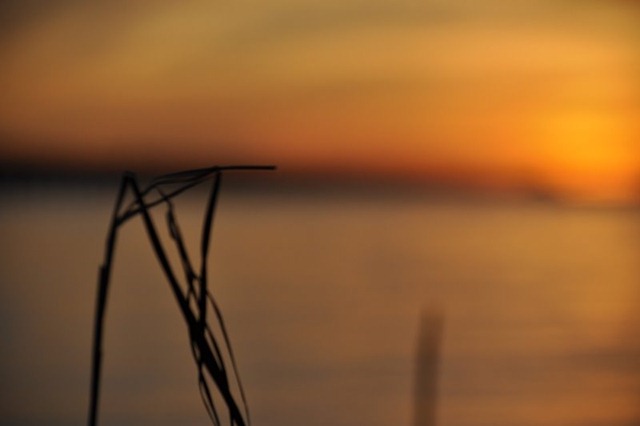 [sunset%2520november%252019%2520218%255B3%255D.jpg]