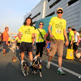 Pet Express Doggie Run 2012 Philippines. Jpg (127).JPG