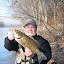 20 inch Smallmouth Bass, Susquehanna River, November 22, 2009 20 inch Smallmouth Bass, Susquehanna River, November 22, 2009