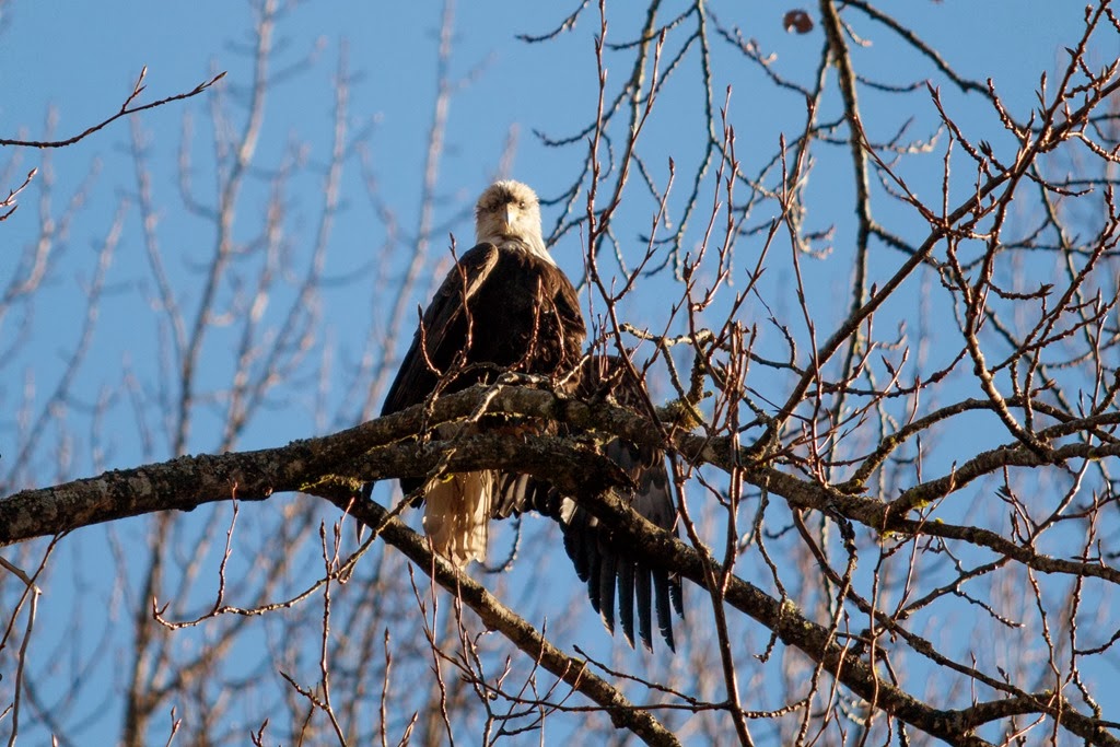 [IMG_3084%255B3%255D.jpg]