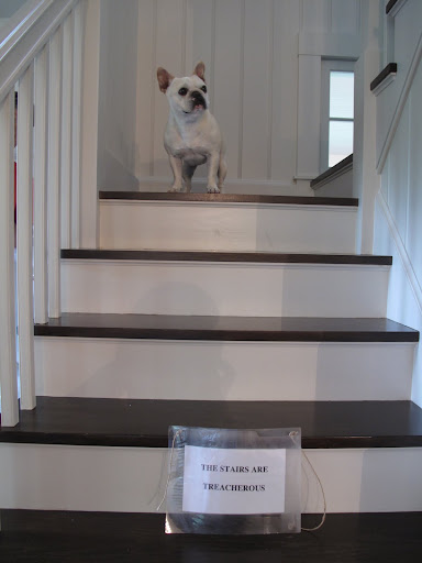 Now I'm really scared to come down the stairs.  The sign says they're TREACHEROUS!