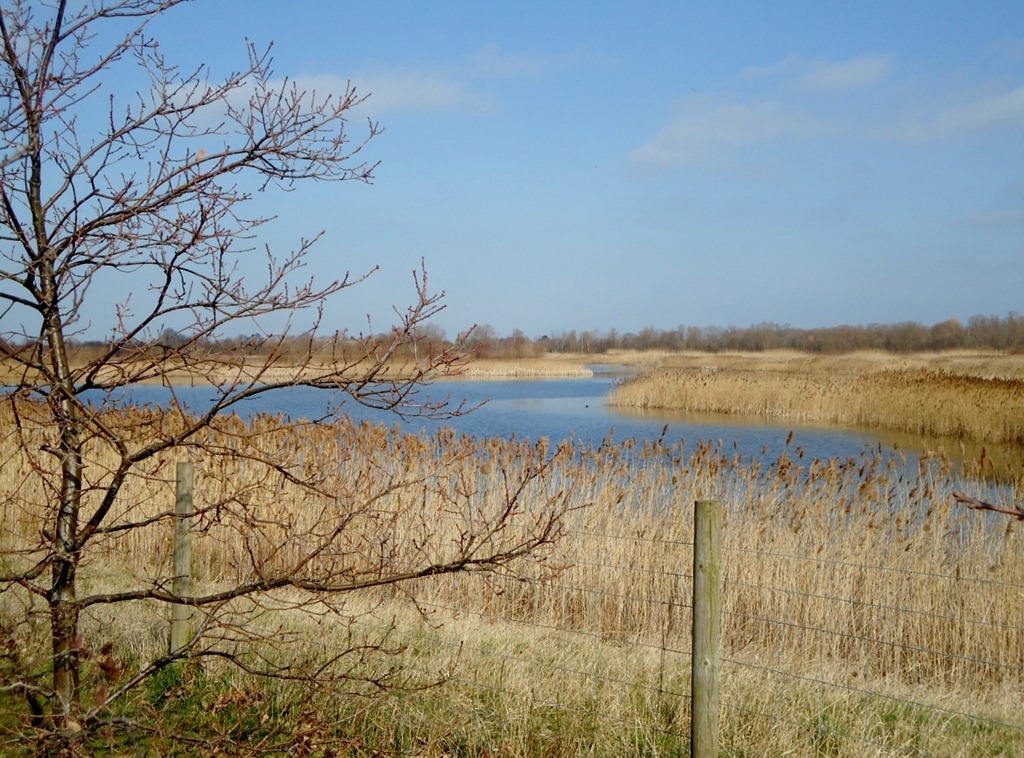 [Fen%2520Drayton%2520Lakes%252022%255B6%255D.jpg]