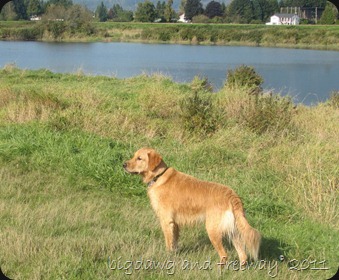 IMG_7281 IMG_7281