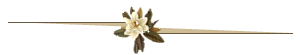 barrinha14 barrinha14
