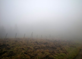 DSCN0179.jpg