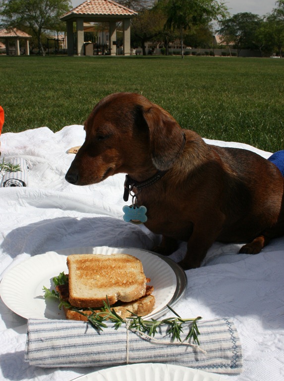 [coat%2520bacon%2520089%255B4%255D.jpg]