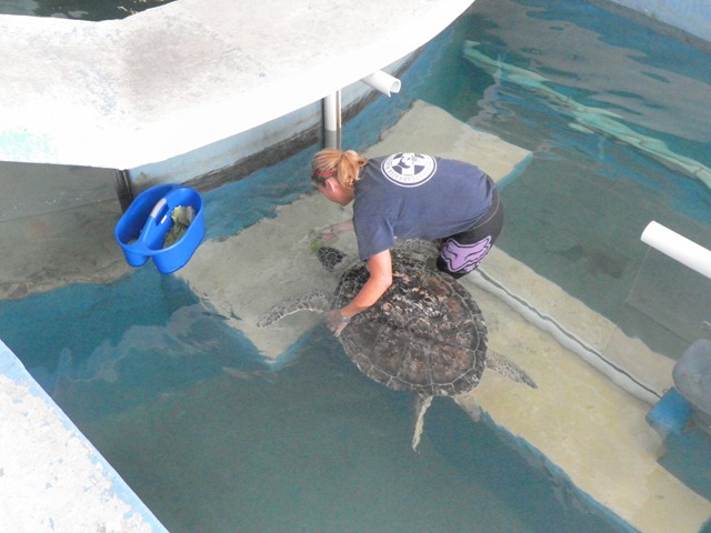 [SAM_1893%255B3%255D.jpg]