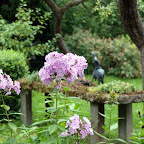 20100825_050_small.JPG