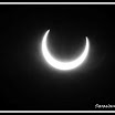 IMG_2454.jpg
