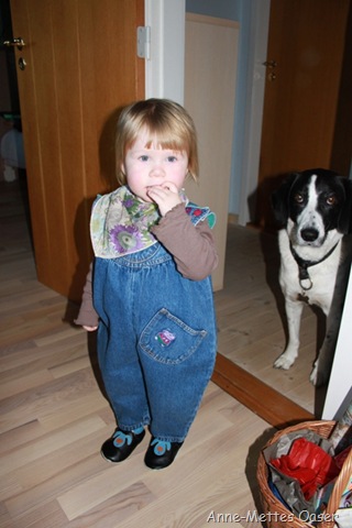 [IMG_2228%255B8%255D.jpg]