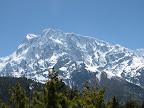 IMG_1682.JPG