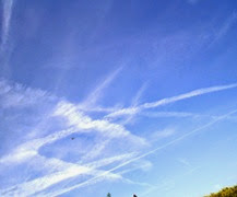 z.cieli ago2014_4 z.cieli ago2014_4
