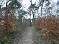 SAM_3737.JPG Photo