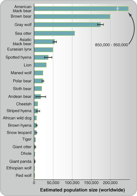 Worldwide population estimates of large-carnivore species. Error bars represent the low and high range of the estimates when available. Population estimates were not available for all species. Species ranges vary widely, and range sizes can have a strong influence on species population levels (table S1). Sources: Gray wolf (90), all other species IUCN (91). Graphic: Ripple, et al., 2014 / DOI: 10.1126/science.1241484