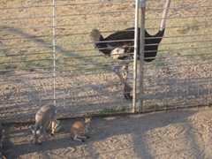 IMG_8642 IMG_8642