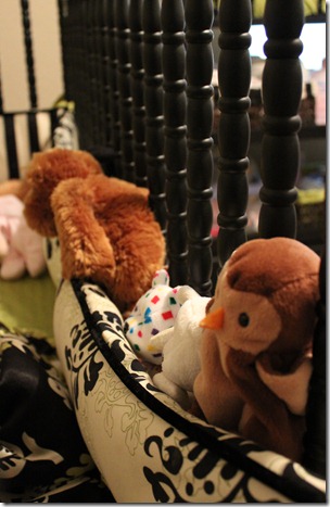 IMG_1970 IMG_1970