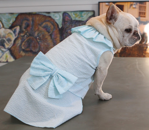 It has a nicely ruffled neck and a sassy hip bow.