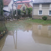 IMGP0542.JPG