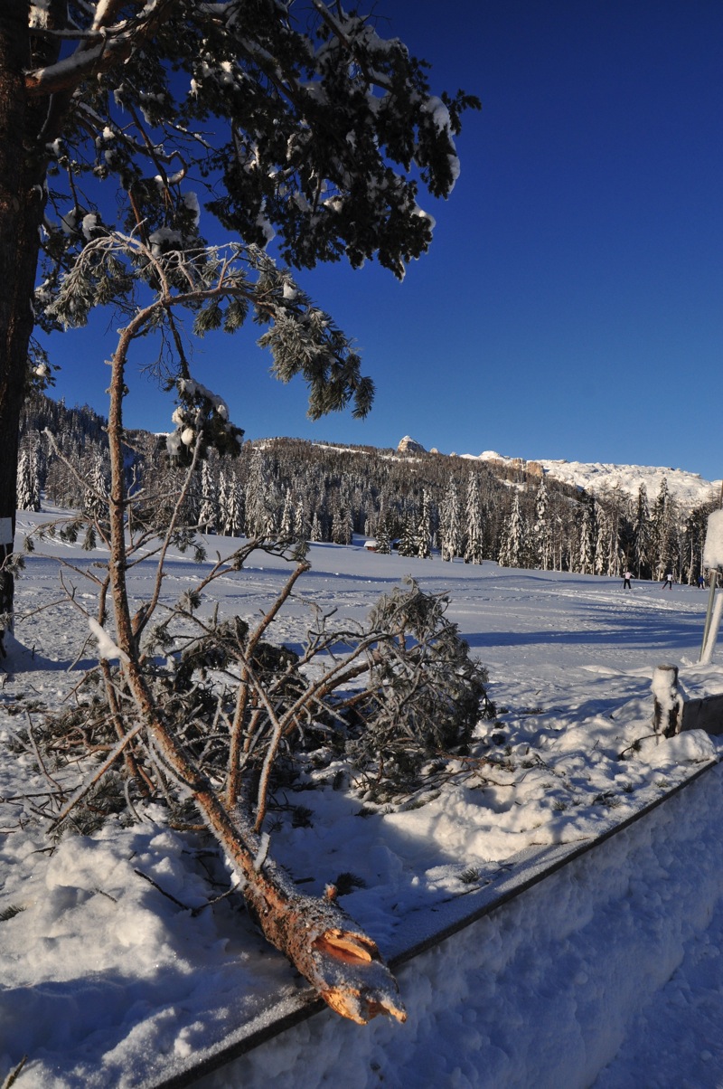DSC_5988.jpg DSC 5988