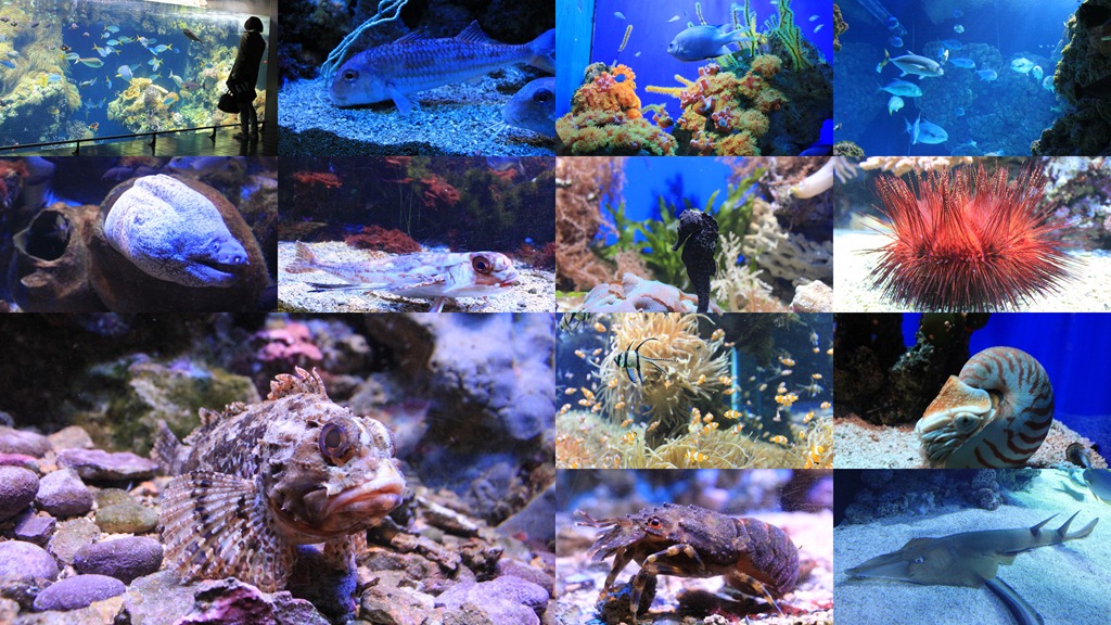 [Collages1%255B4%255D.jpg]