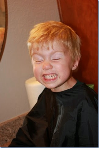 IMG_2508 IMG_2508