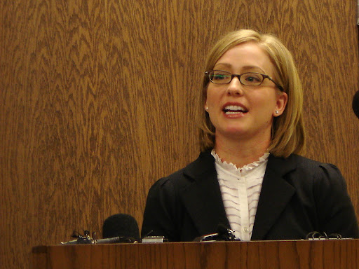 Carmen Parker Bradshaw is the executive director of the new non-profit group: The Springfield-Greene County Regional Health Commission.  (photo credit: Sam Senovich)