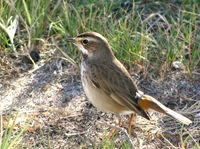 IMG_2499 IMG_2499