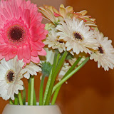 IMG_8772.JPG