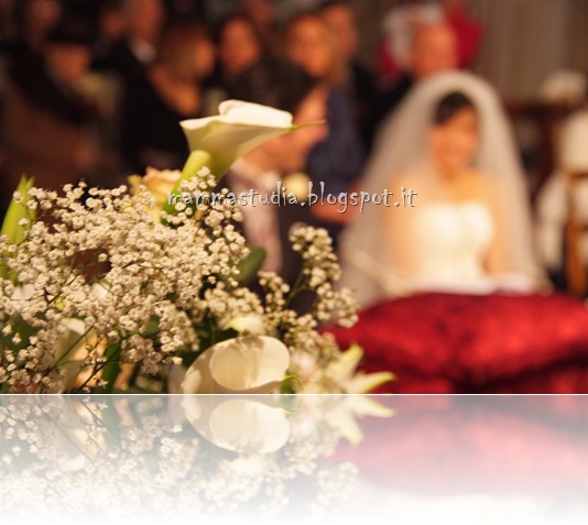 dini 0139 dini 0139