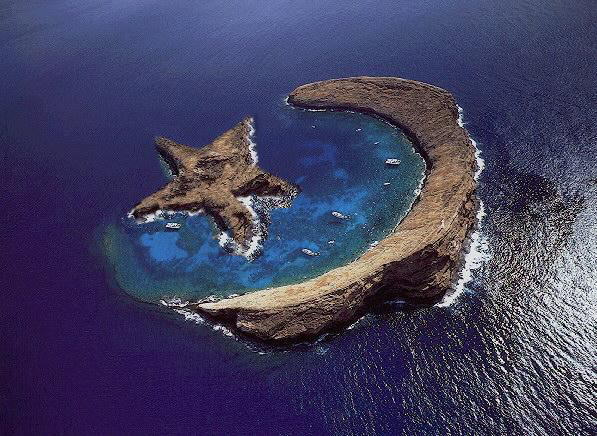 Image Dimension: 597x436 :: Photos: Trust me its Real Photos: Trust me its Real