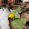dsc06557.jpg