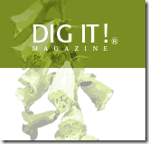 DIG IT! Magazine