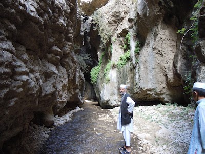 DSCN3910.jpg
