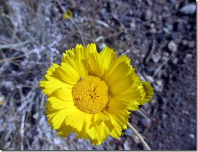 IMG_0301 IMG_0301