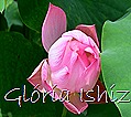 Glória Ishizaka - Flor de Lótus -  Kyoto Botanical Garden 2012 - 5