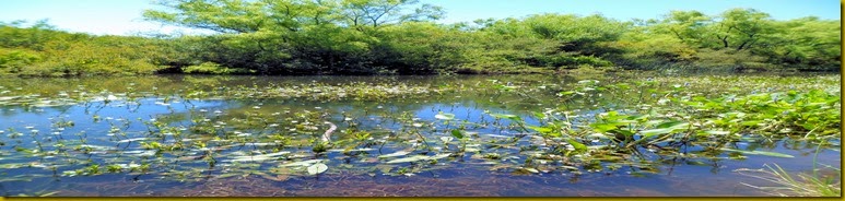 SAM_0522 SAM_0522