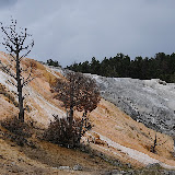 黄石国家公园 | Yellowstone