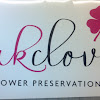 pink-clover.jpg