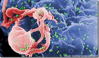 hiv-immune-cell-101019-02