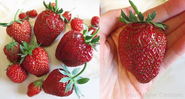 2013July26 strawberries home grown 2013July26 strawberries home grown