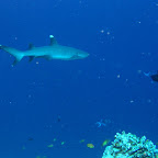 IMG_3050.JPG
